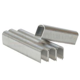 10mm White CT45 Staples (1000)