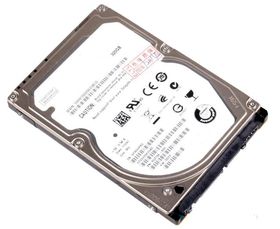 320GB Internal Hard Drive (2.5")