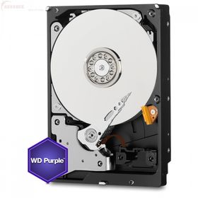 Surveillance 2TB Internal Hard Drive (3.5")